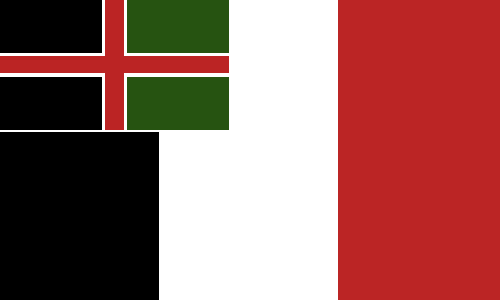 badflag_1.png